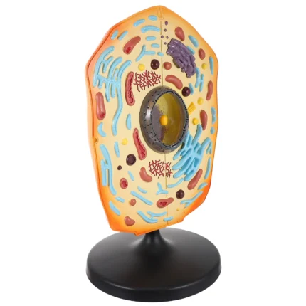 Internal Plates of Earth Model