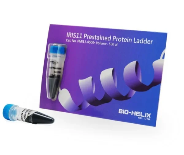 Multicolour Prestained Protein Ladder