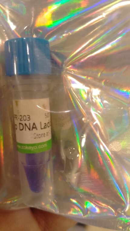 DNA Ladder Price in Pakistan