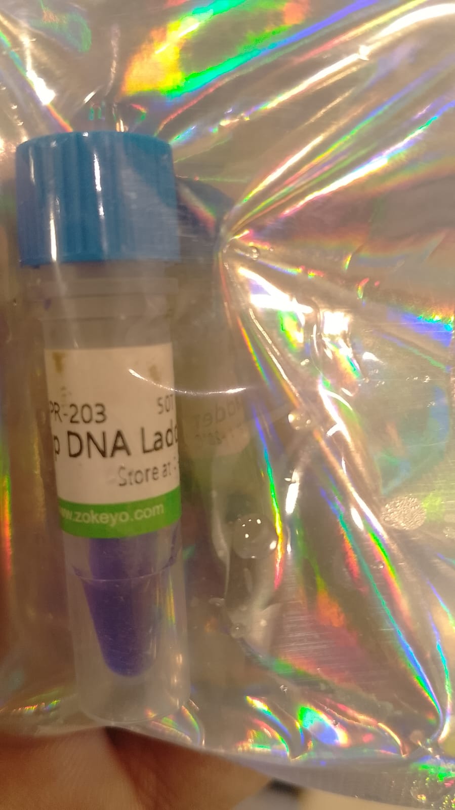 DNA Ladder Price in Pakistan