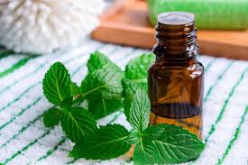 Peppermint Oil in pakistan