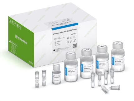 WizPrep gDNA Mini Kit in Pakistan