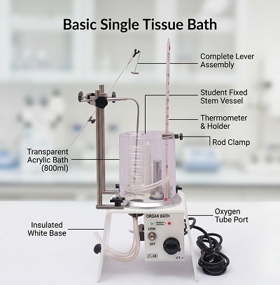 Basic Single Tissue Bath in Pakistan